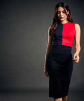Mixed Tones Paneled Bodycon Sleeveless Dress
