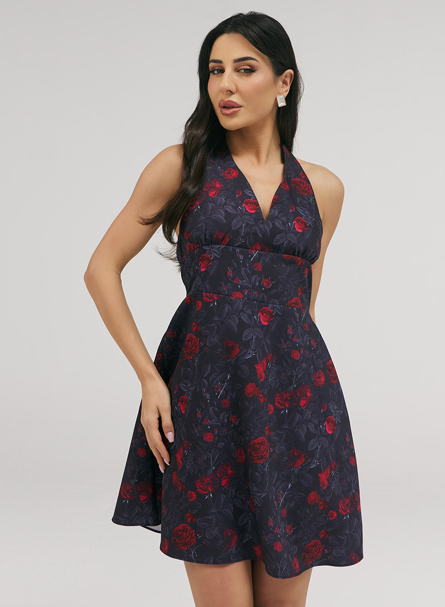 Halter With A Tie Neck Printed Dress
