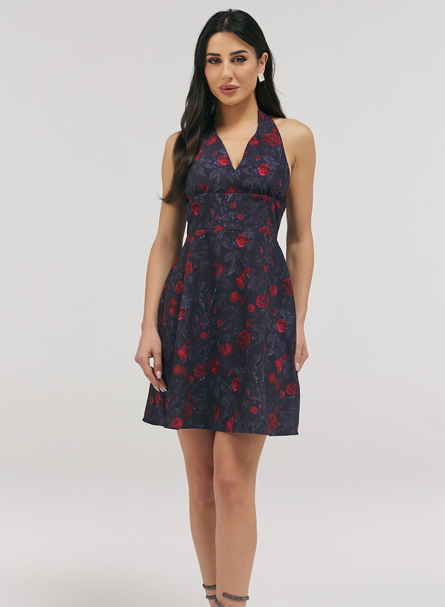 Halter With A Tie Neck Printed Dress
