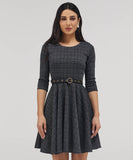 Scoop Neck Gingham Skater Dress